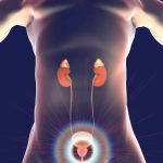 Férfiegészség csomag: 2X Proszta duo+2X Q10 Koenzim+ALGA TRIO+K2+D3 vitamin 37 Prosztata