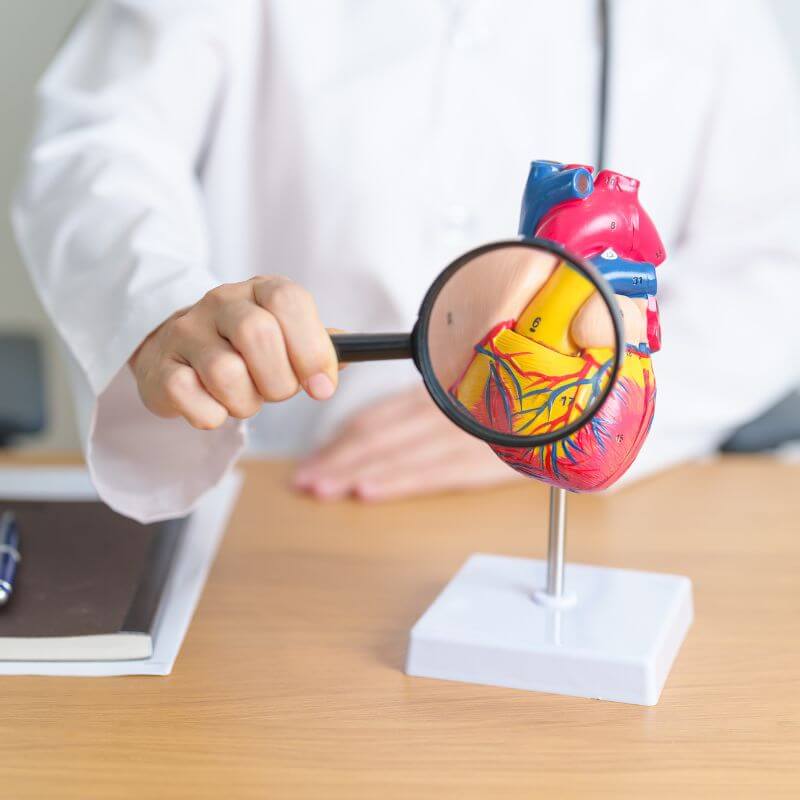 E-vitamin komplex 10 Szívizom erősítő hatás